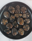 Chiastolite Andalusite Gemstone Natural Tumbled Stone | MEDIUM - in Black Ceramic Dish