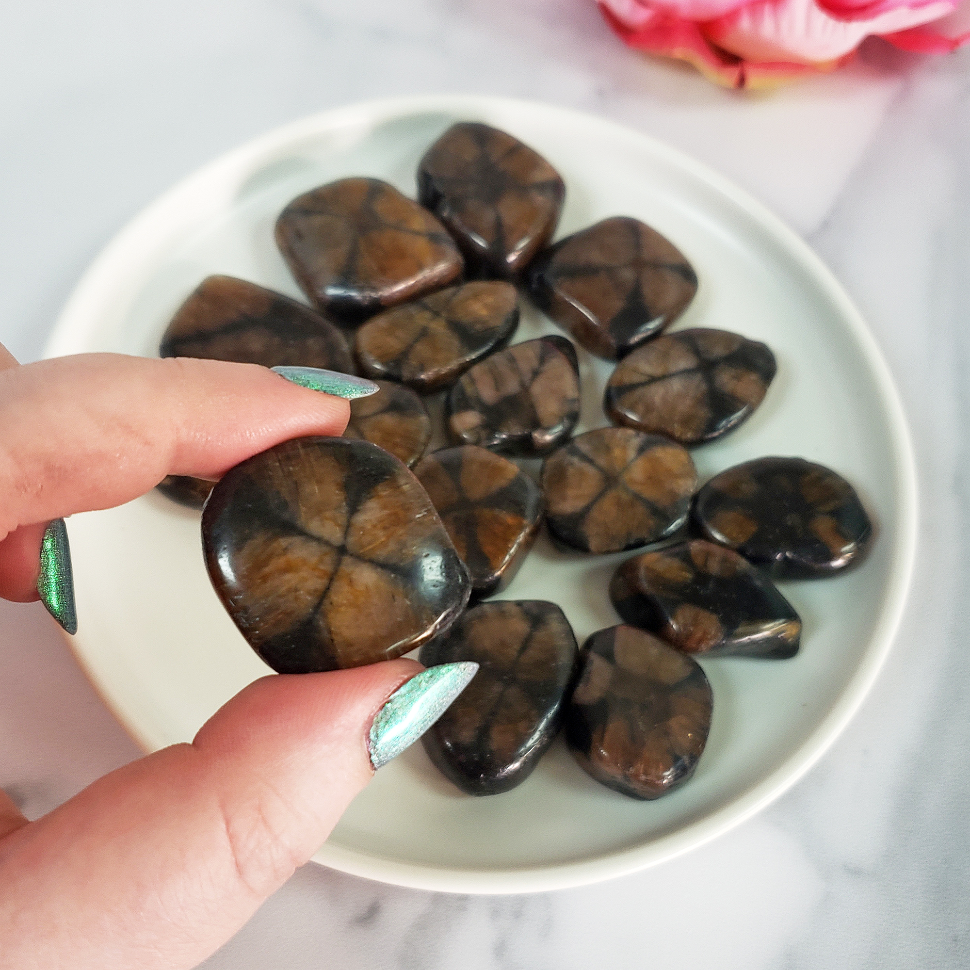 Chiastolite Andalusite Gemstone Natural Tumbled Stone | MEDIUM - One Stone