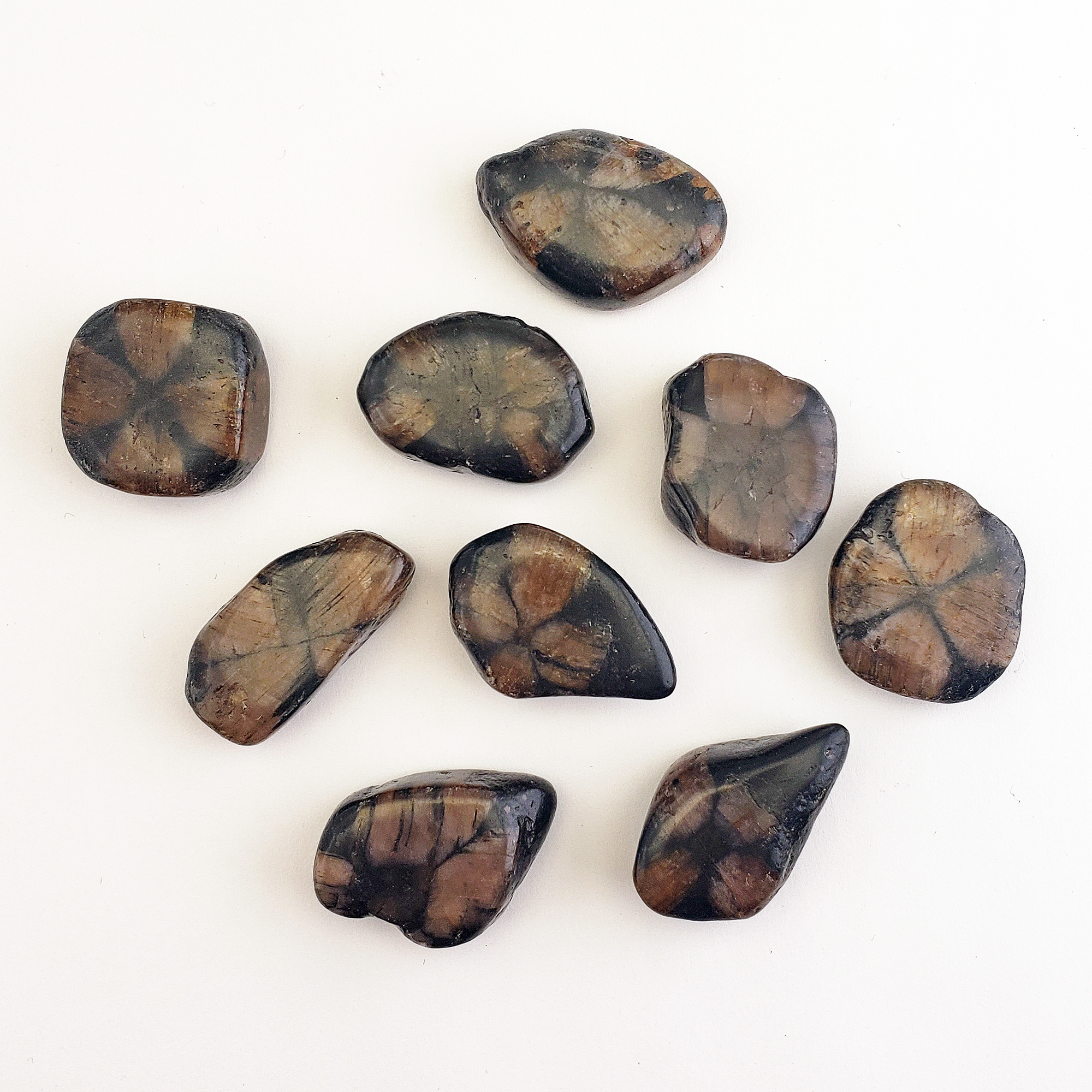 Chiastolite Andalusite Gemstone Natural Tumbled Stone | MEDIUM - White Background