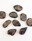 Chiastolite Andalusite Gemstone Natural Tumbled Stone | MEDIUM - White Background