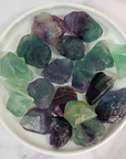 Raw Fluorite Crystal Natural Rough Gemstone Chunk | MEDIUM - in White Dish