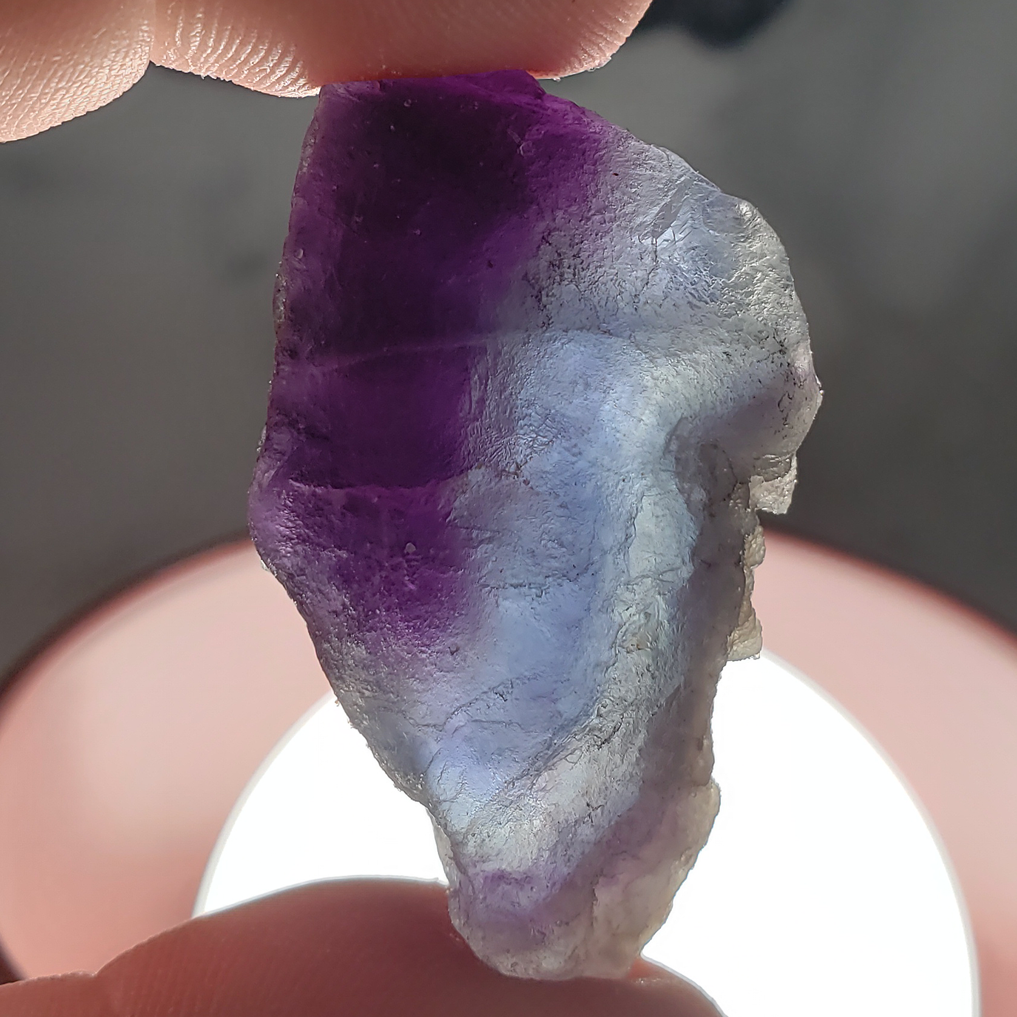 Raw Fluorite Crystal Natural Rough Gemstone Chunk | MEDIUM - Close Up with Bright Light