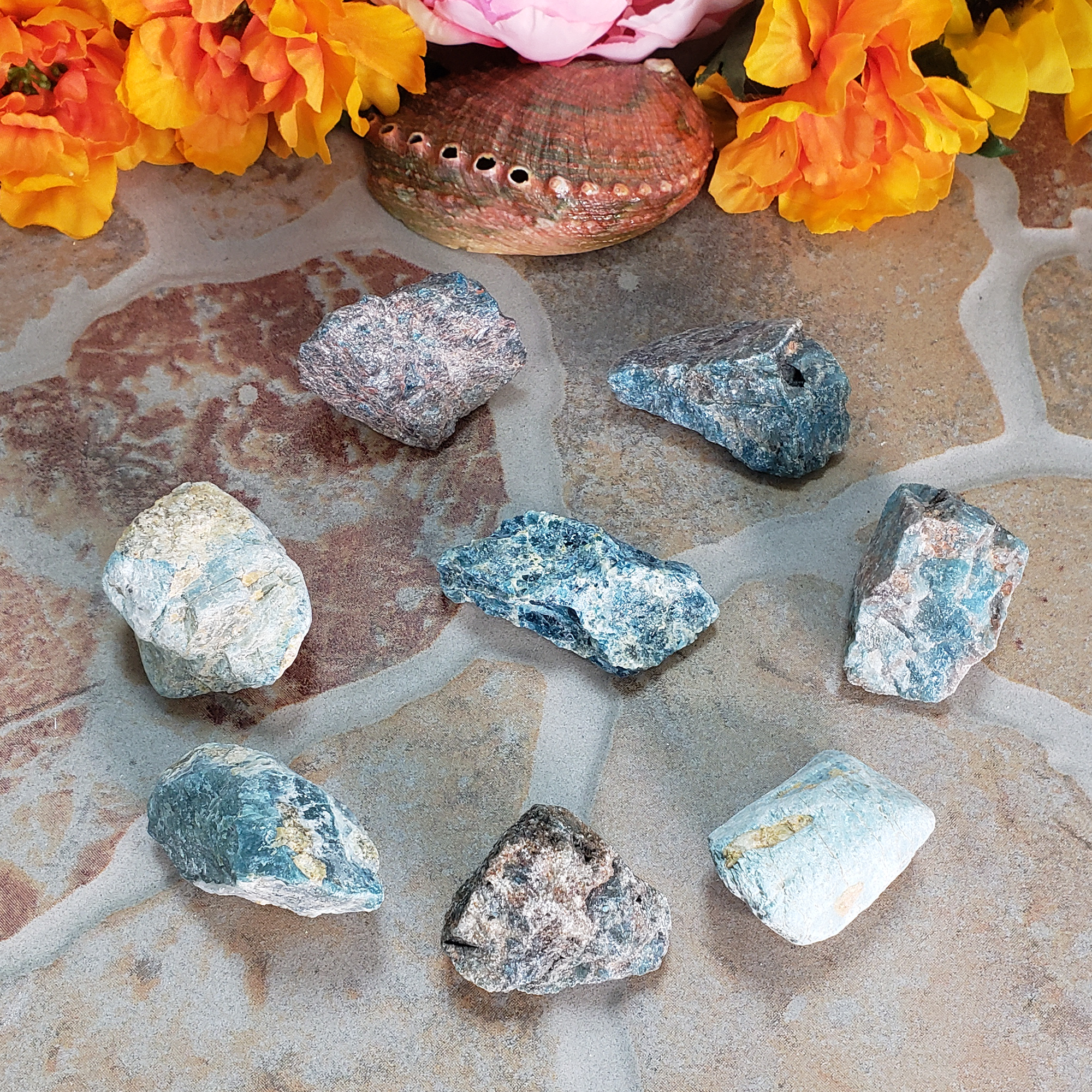 Blue Apatite Natural Raw Crystal Rough Gemstone - Medium - On Tile