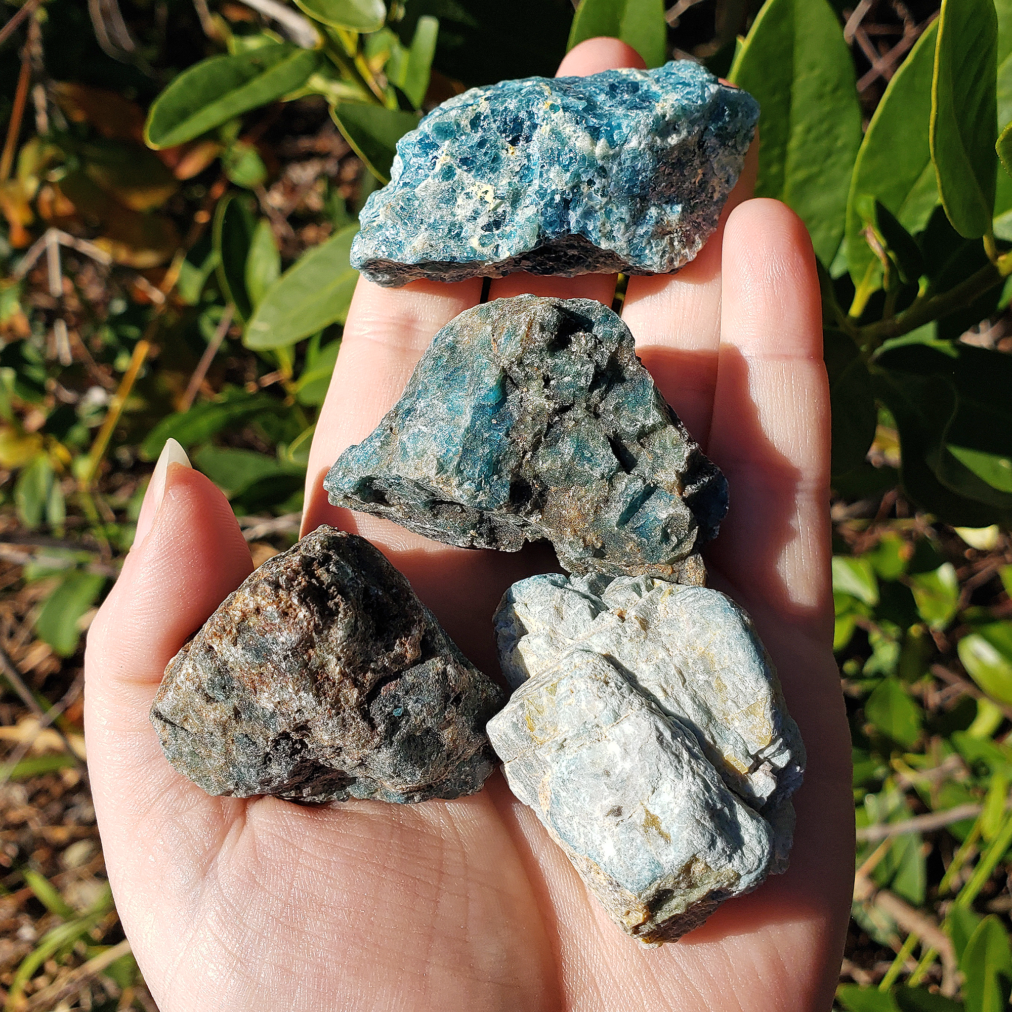 Blue Apatite Natural Raw Crystal Rough Gemstone - Medium - Direct Sunlight 2