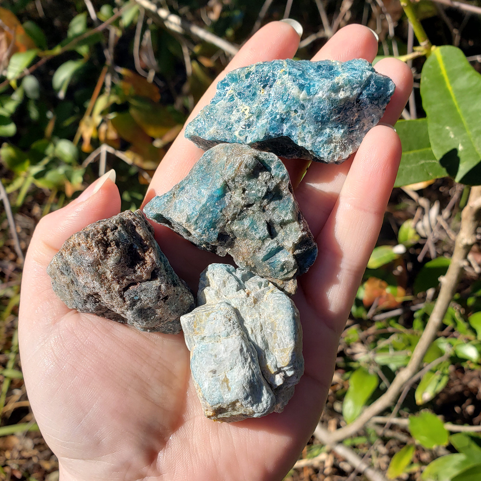 Blue Apatite Natural Raw Crystal Rough Gemstone - Medium - Direct Sunlight