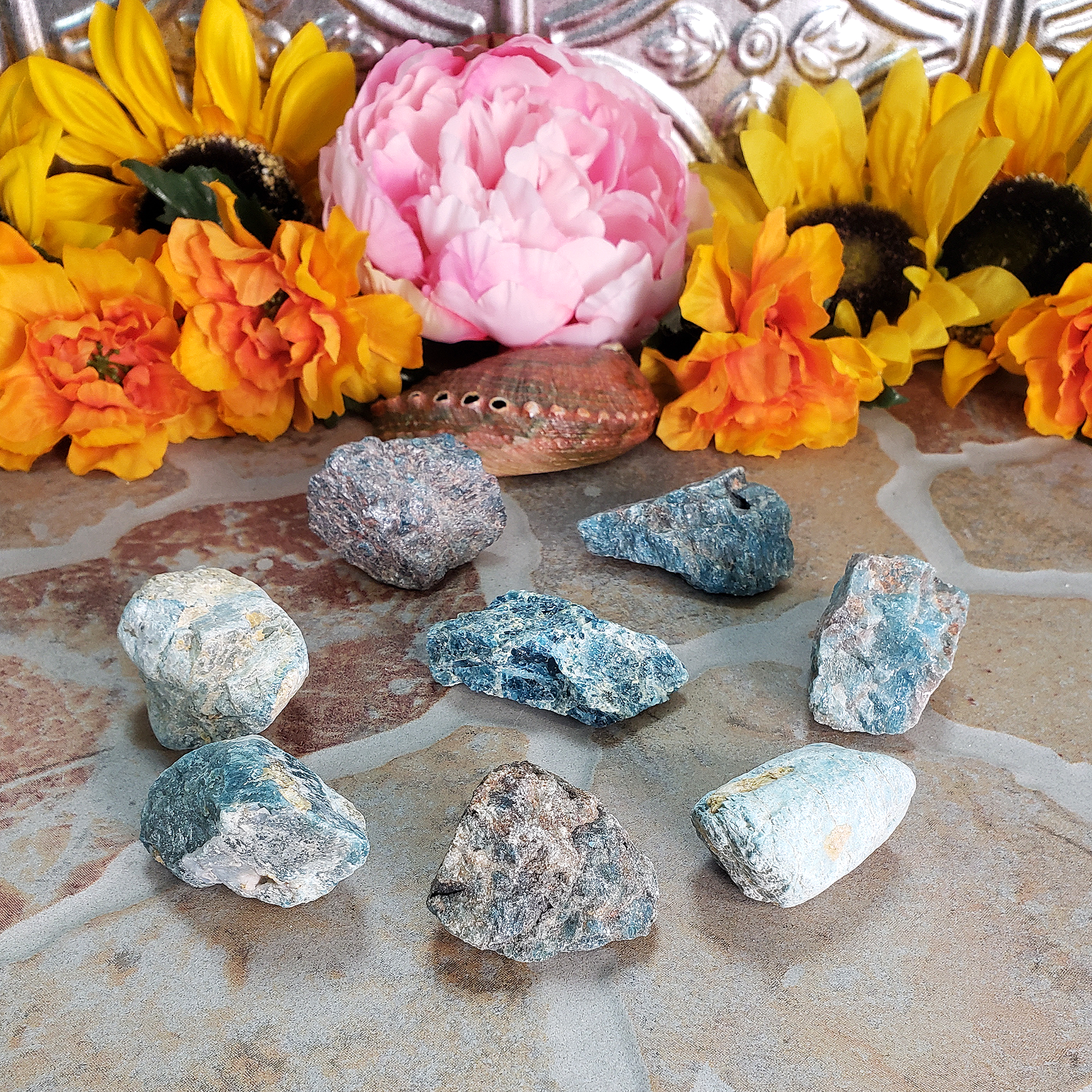 Blue Apatite Natural Raw Crystal Rough Gemstone - Medium - On Tile 2