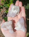 Spirit Cactus Quartz Lavender Amethyst Crystal Natural Druzy Cluster | MEDIUM - Outdoor Light