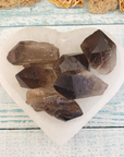 Smoky Quartz Raw Crystal Point - Medium - In Selenite Bowl
