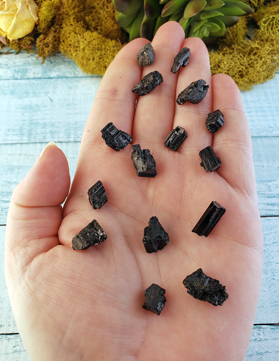 Black Tourmaline Natural Raw Rough Gemstone - Mini: 0.2" - 0.4"