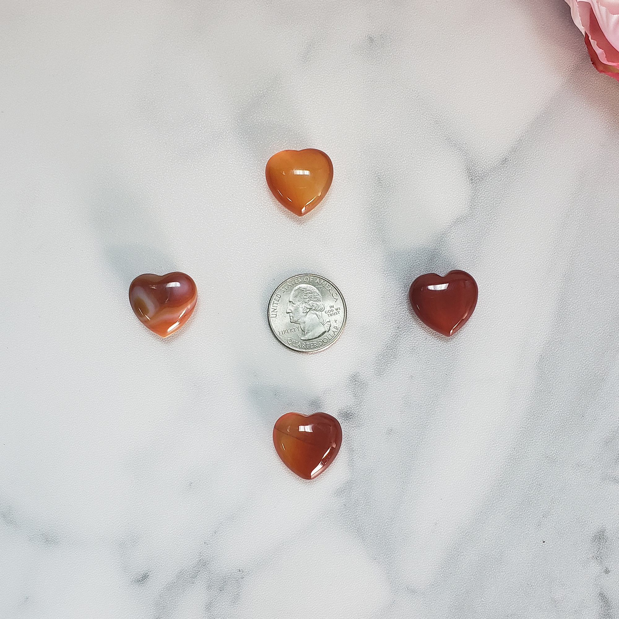 Carnelian Stone Natural Crystal Heart Mini Carving - Size Comparison