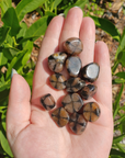 Chiastolite Andalusite Gemstone Natural Tumbled Stone | MINI - Chiastolites in the Sun