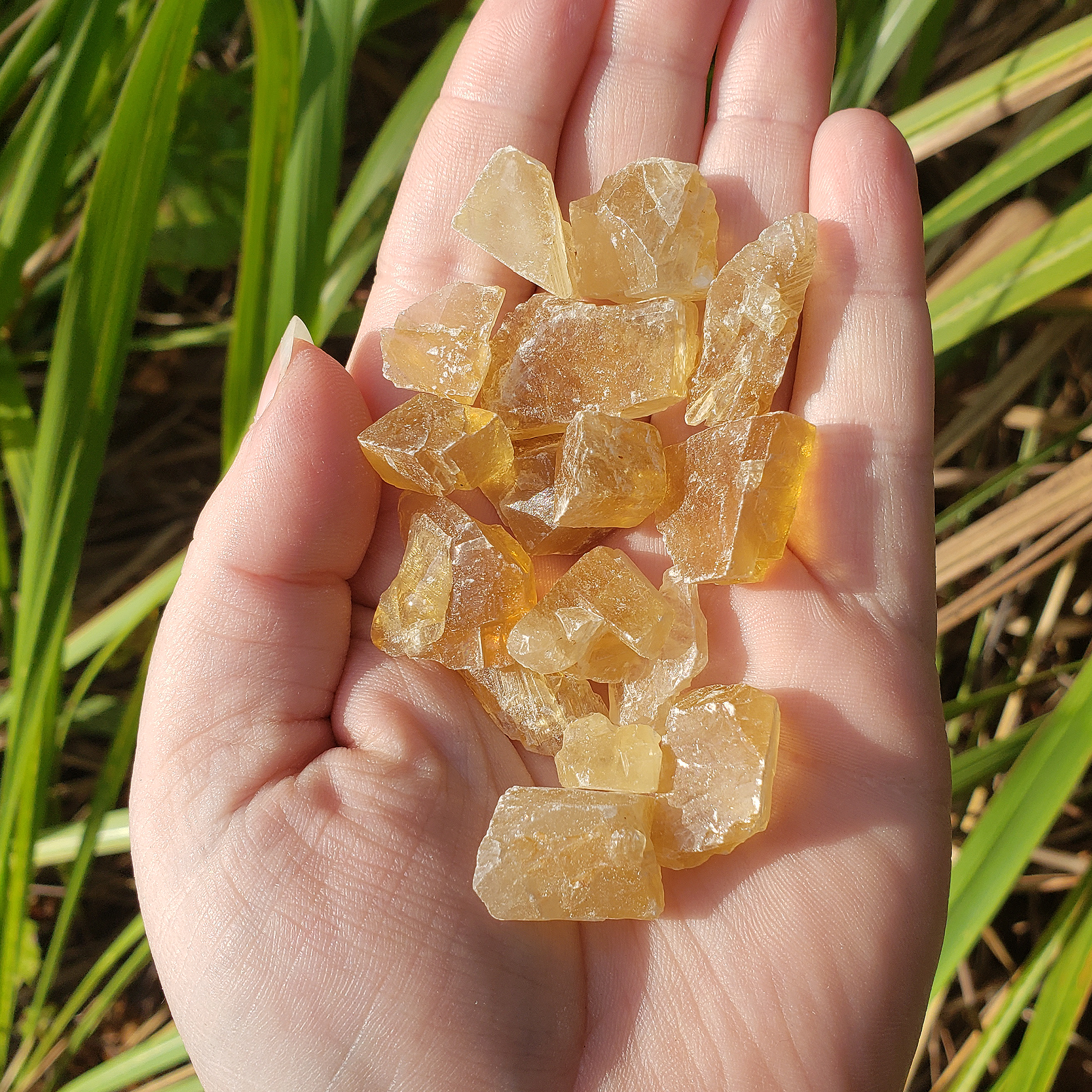 Honey Calcite Natural Raw Crystals Rough Gemstones - 3 Mini Stones - In Direct Sunlight