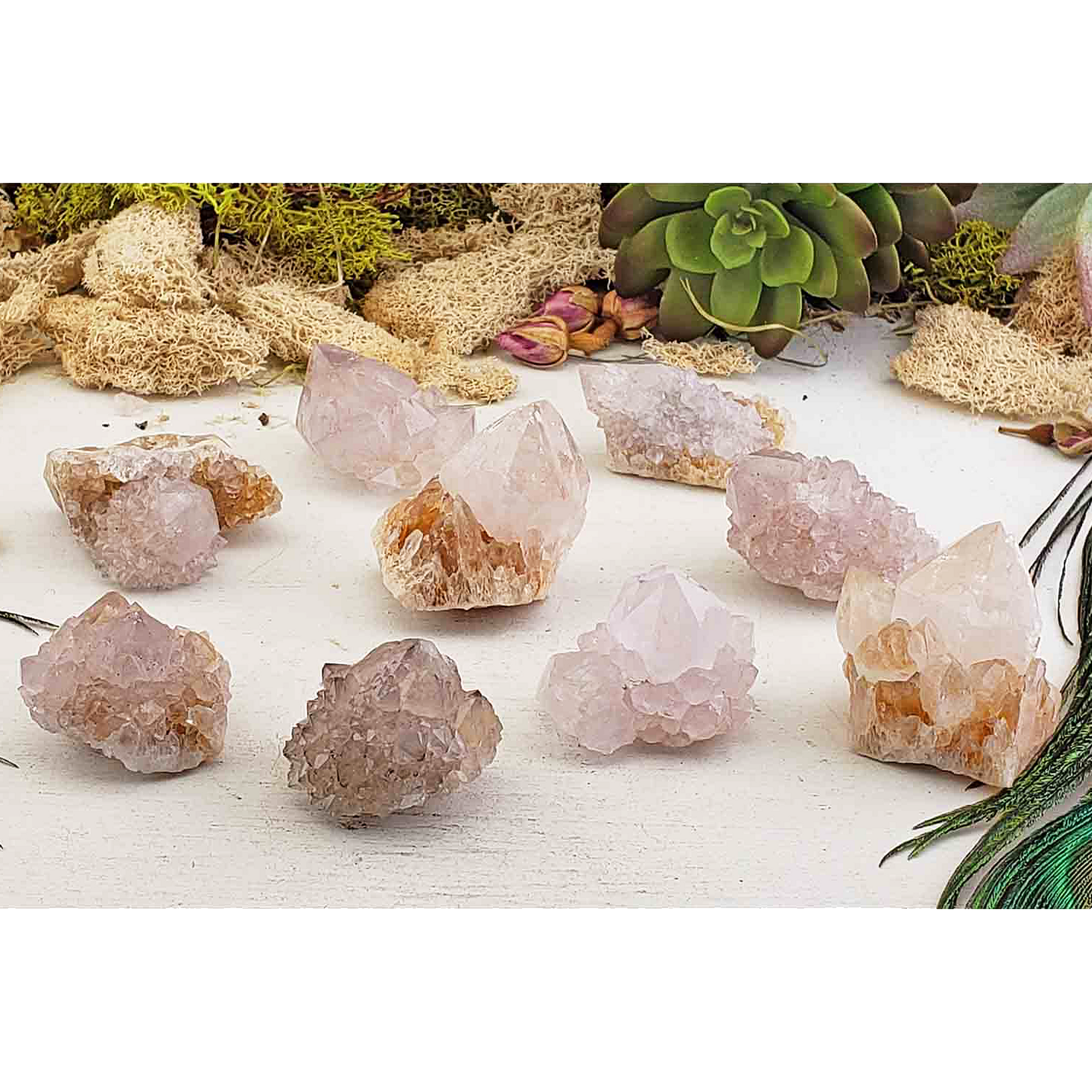 Spirit Cactus Quartz Lavender Amethyst Crystal Natural Druzy Cluster | MINI - Older Photo