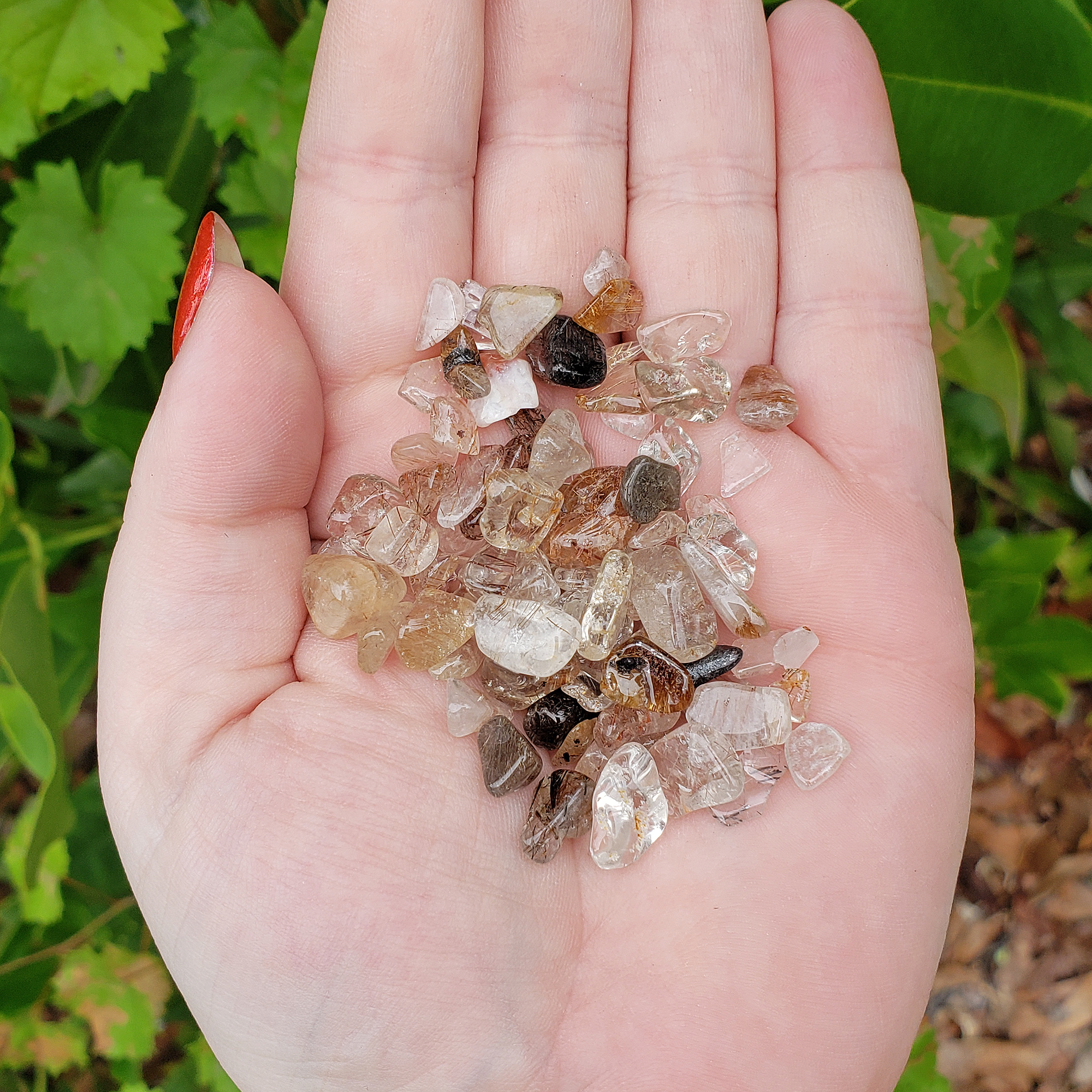 Mixed Rutilated Quartz Crystal Natural Gemstone Chips By the Ounce - in Sunlight