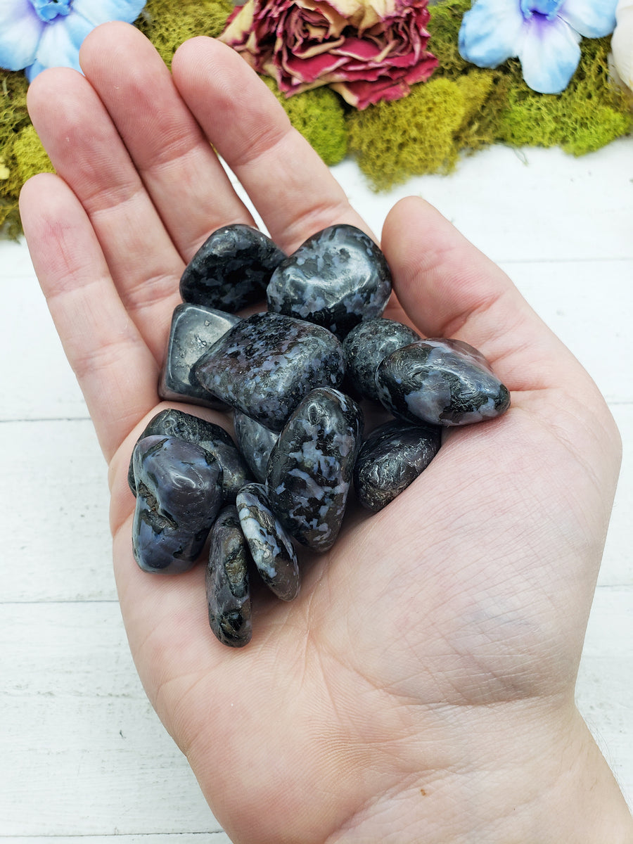 merlinite indigo gabbro stones in hand