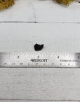 ruler comparing size of 3 shungite crystal pieces
