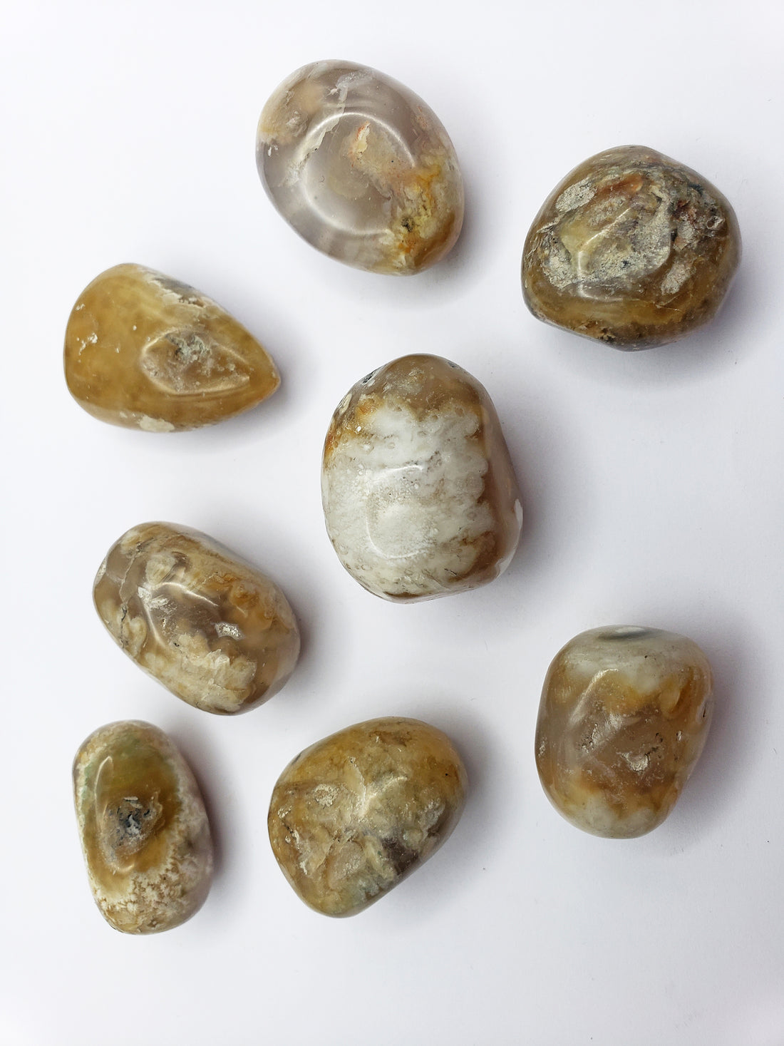 moss agate with petrified wood crystals on white background