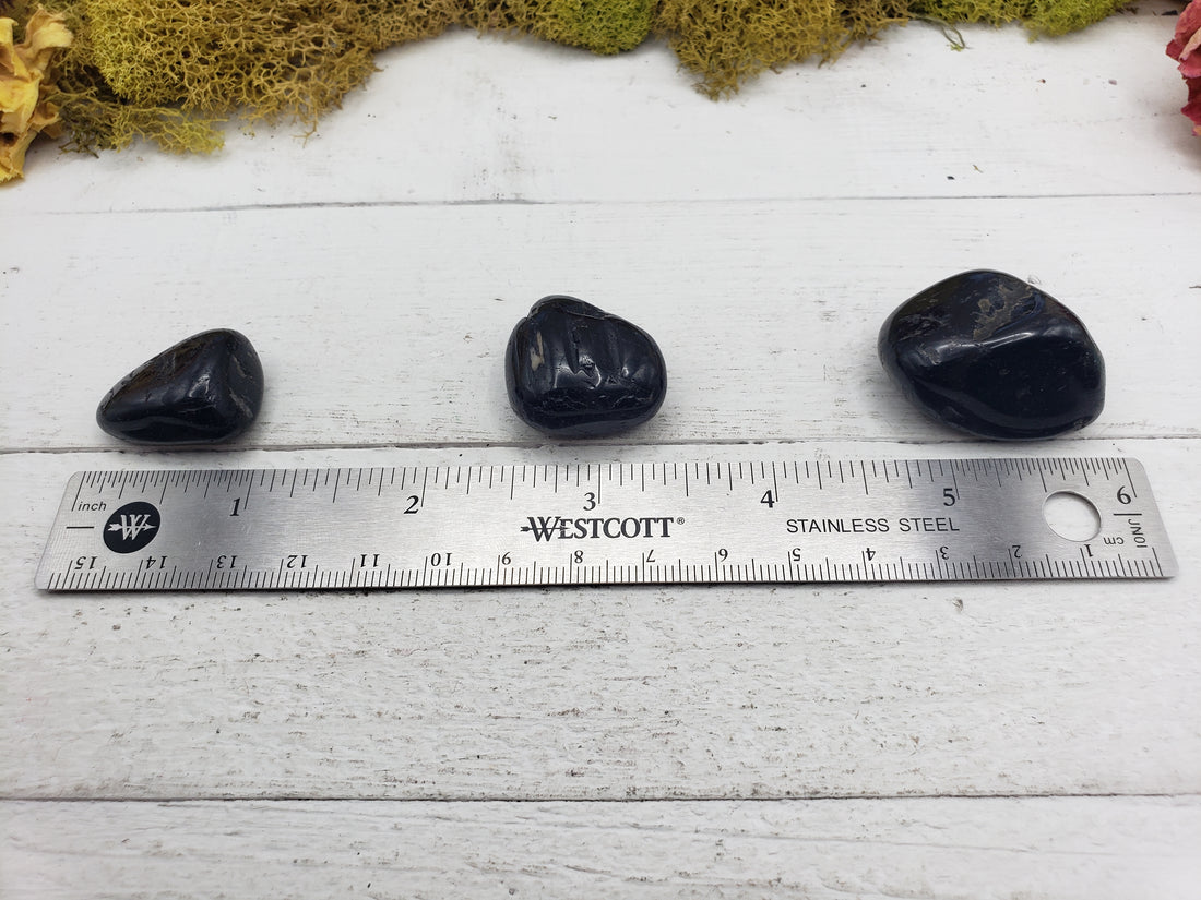 black tourmaline crystals on ruler