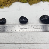 black tourmaline crystals on ruler