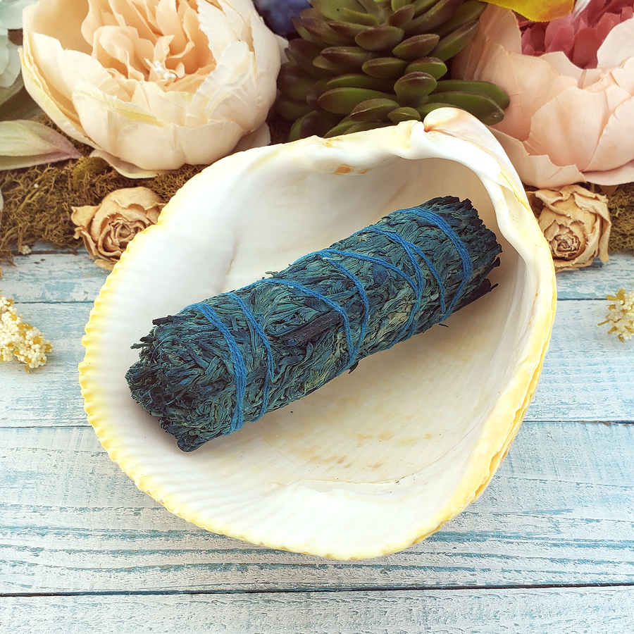 Nag Champa Mountain Sage Bundle - One 4 Inch Smudge Stick - In a Shell