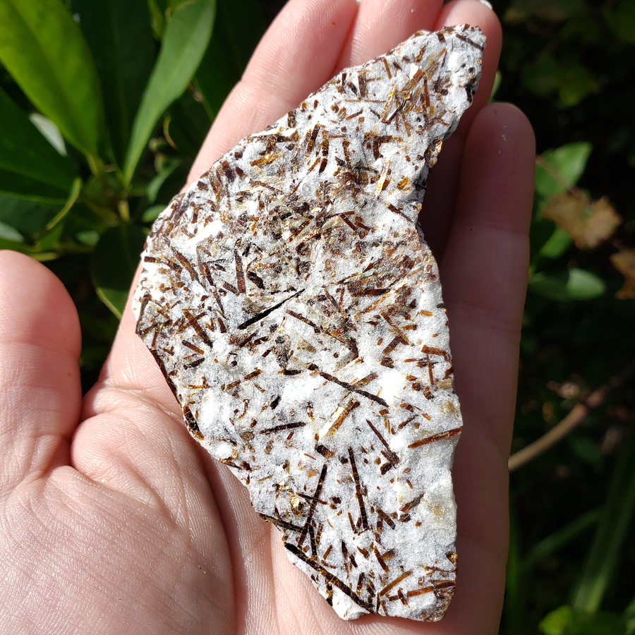 Astrophyllite Raw Natural Rough Gemstone - Unique - Direct Sunlight