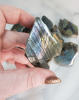 Flashy Labradorite Natural Crystal Rough Slice Slab - Multiple Sizes! - Purple Labradorite