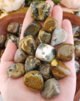 Ocean Jasper Natural Tumbled Stone - Rounded One Stone - In Hand