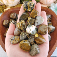 Ocean Jasper Natural Tumbled Stone - Rounded One Stone - In Hand