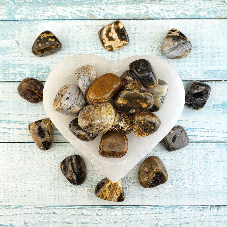 Ocean Jasper Natural Tumbled Stone - Rounded One Stone - In Selenite Bowl