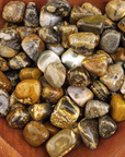 Ocean Jasper Natural Tumbled Stone - Rounded One Stone - Wooden Bowl Full of Orbicular Jasper Tumbled Crystals