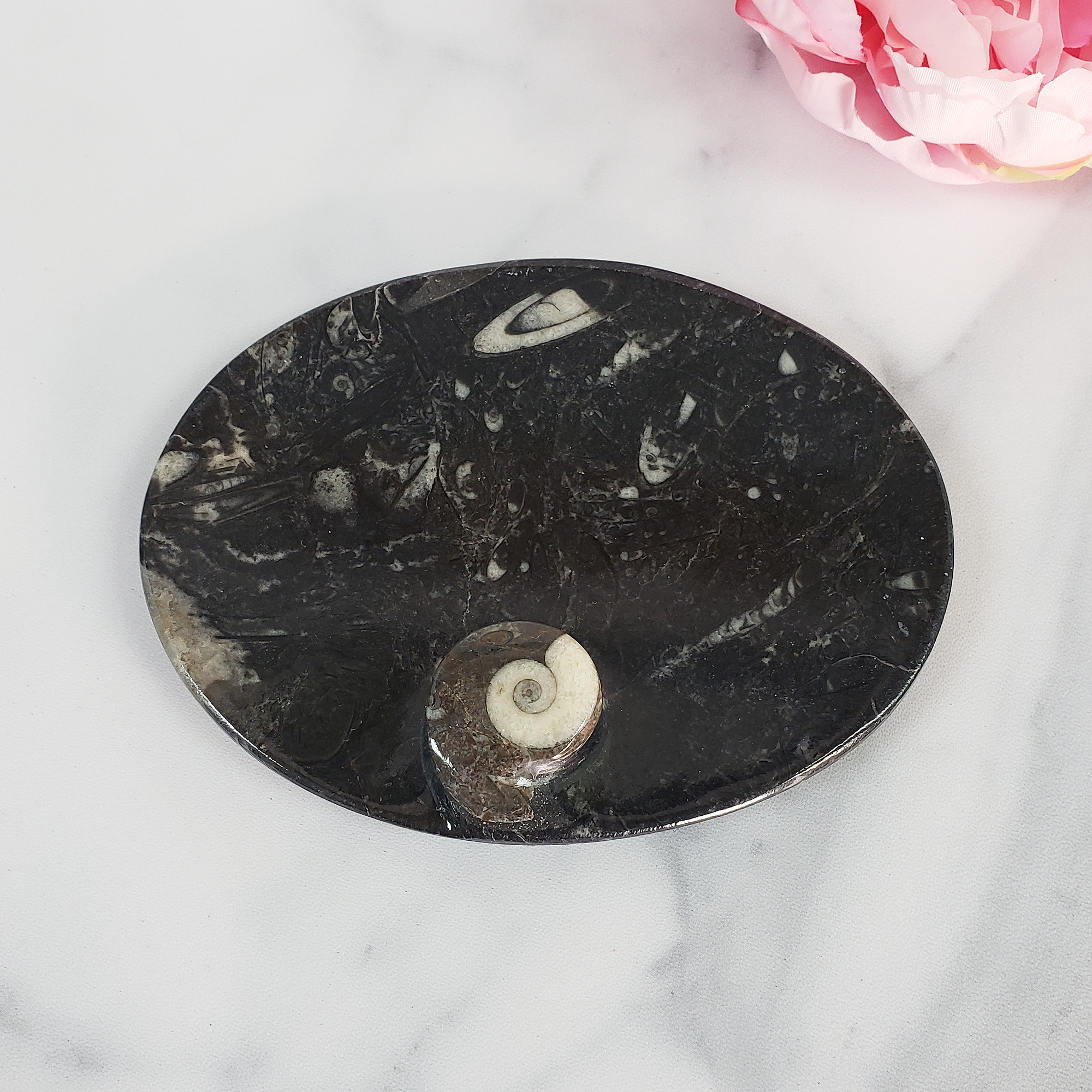 Unique Fossil Stone Bowl Natural Gemstone Jewelry Dish Offering Plate | Oval