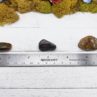 ocean jasper stones by ruler