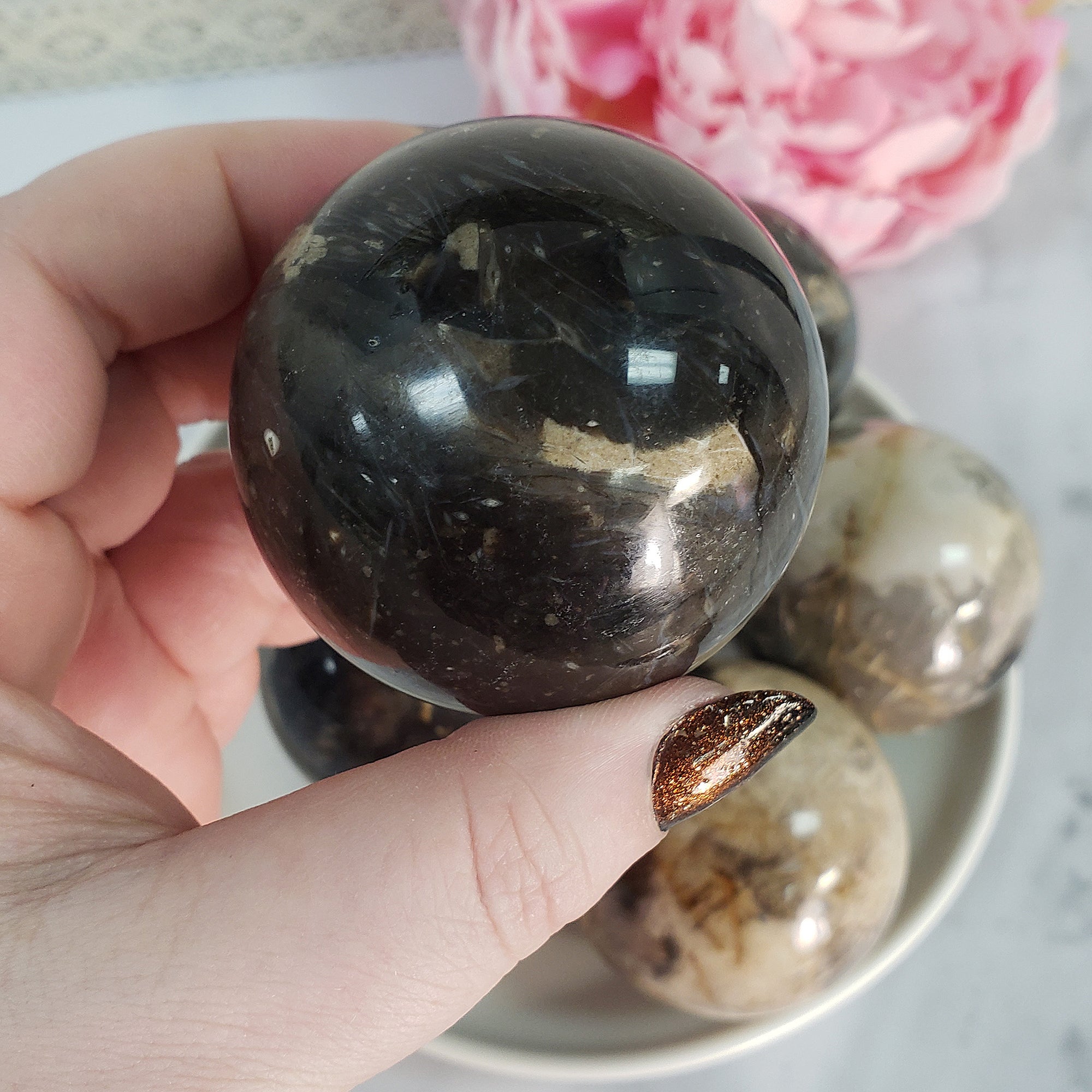 Palm Root Fossil Agatized Petrified Wood Natural Organic Gemstone Crystal Sphere Orb | 50mm - 55mm - 5