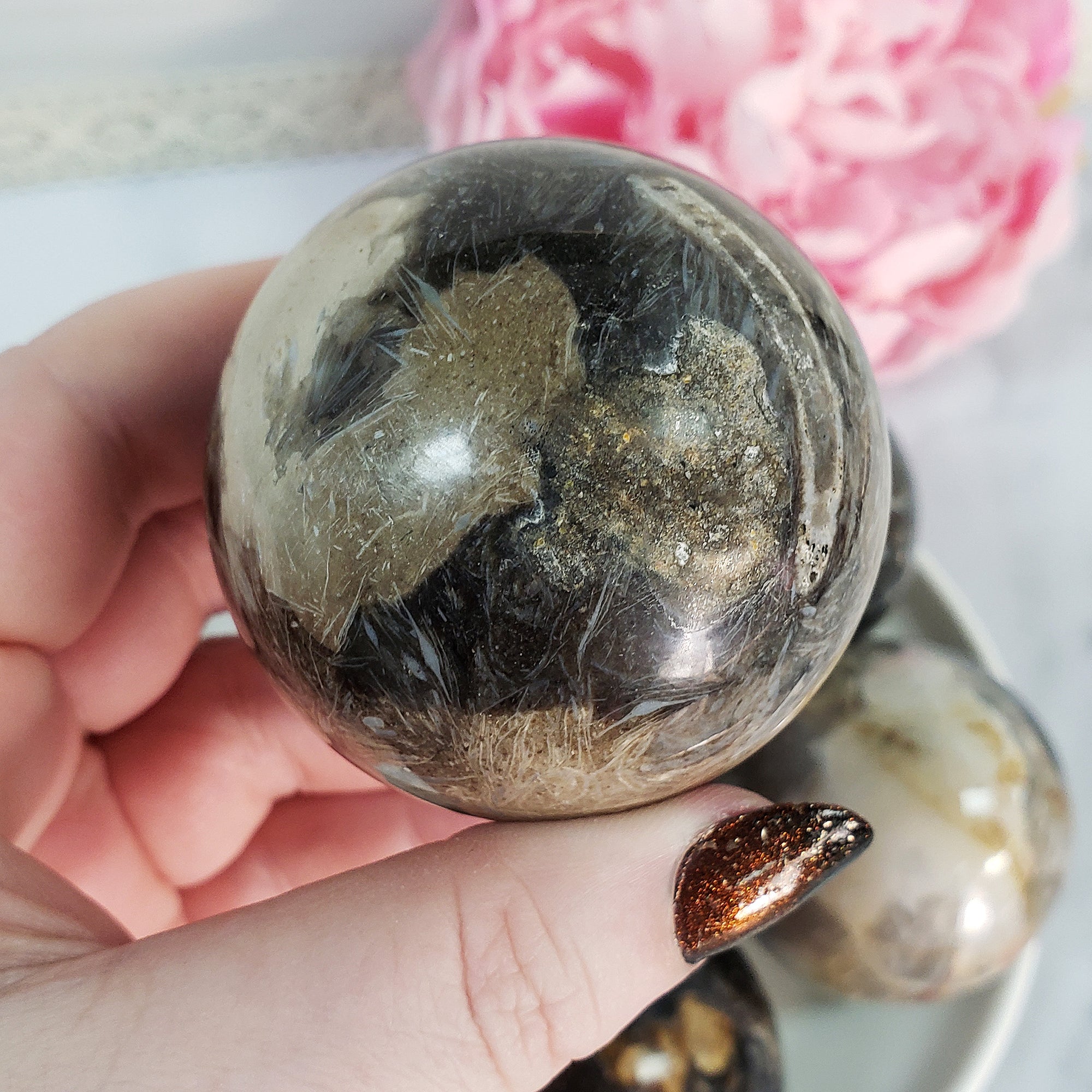 Palm Root Fossil Agatized Petrified Wood Natural Organic Gemstone Crystal Sphere Orb | 50mm - 55mm - 4