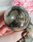 Palm Root Fossil Agatized Petrified Wood Natural Organic Gemstone Crystal Sphere Orb | 50mm - 55mm - 4