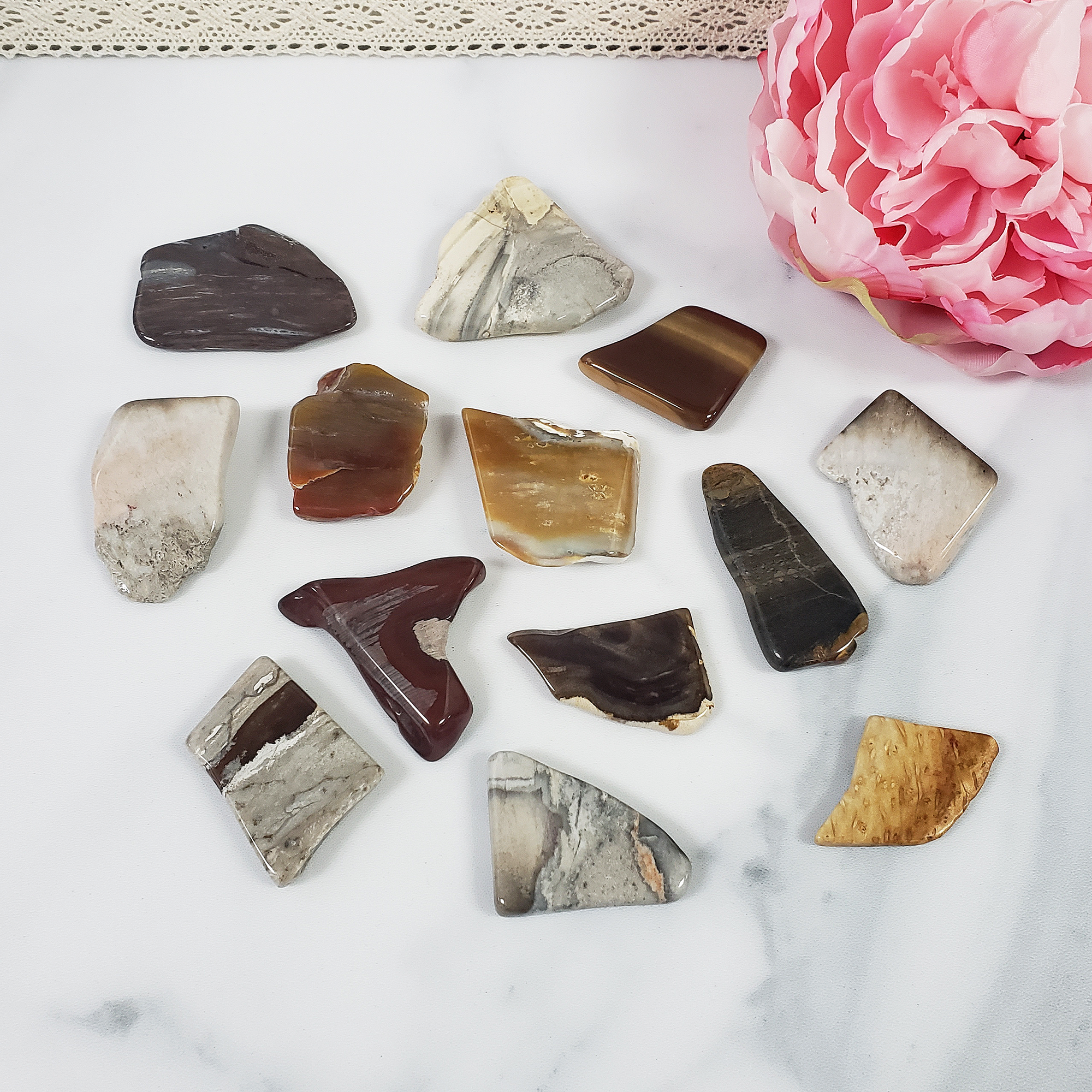 Petrified Wood Stone Slice Natural Fossil Gemstone Slab | SMALL