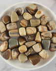 Picture Jasper Crystal Natural Gemstone Tumbled Stone - 6