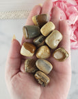 Picture Jasper Crystal Natural Gemstone Tumbled Stone - 1