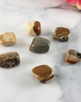 Picture Jasper Crystal Natural Gemstone Tumbled Stone - 4