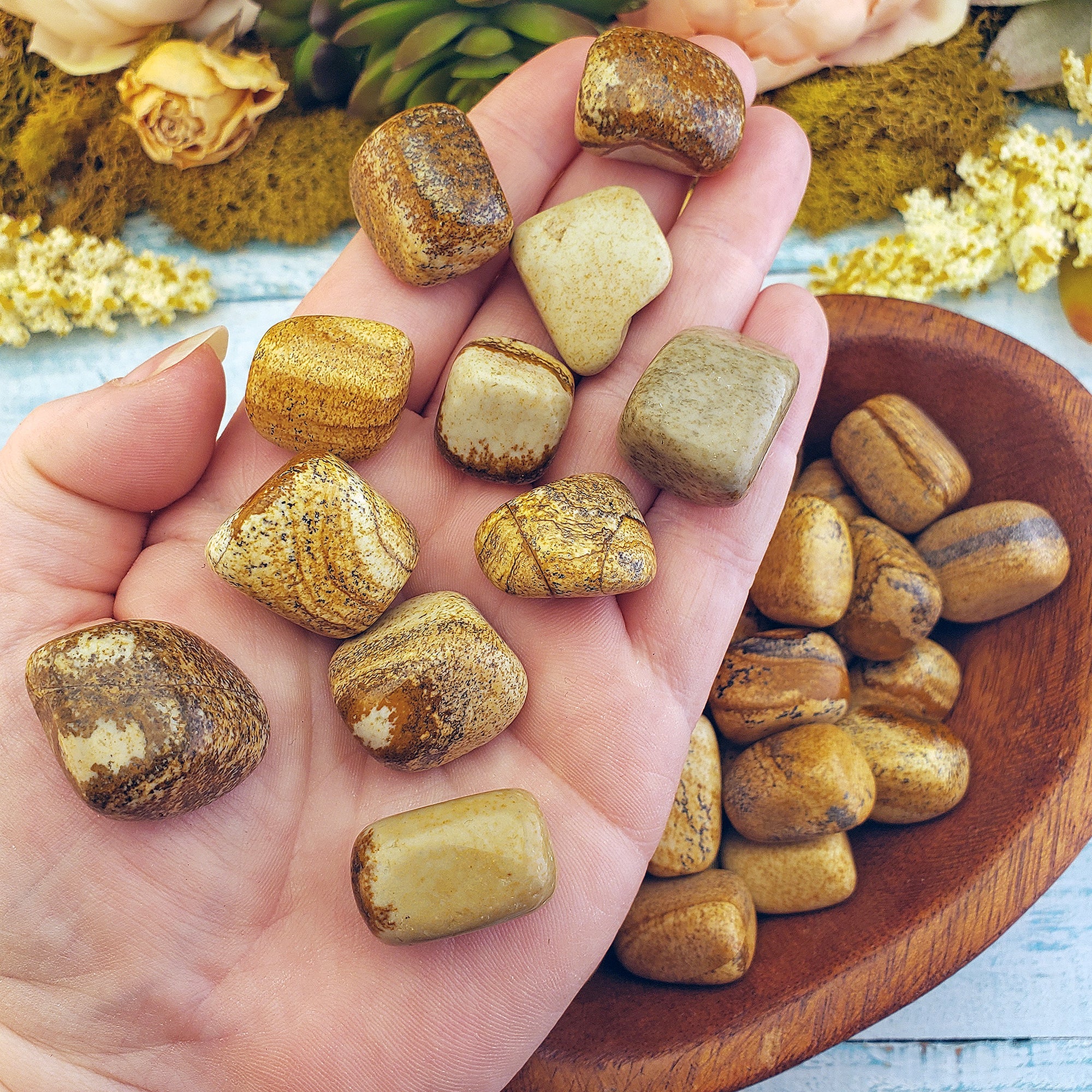 Picture Jasper Crystal Natural Gemstone Tumbled Stone - 5