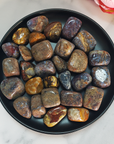 Pietersite Stone Natural Gemstone Semi-Tumbled Crystal - In Black Ceramic Dish