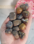 Pietersite Stone Natural Gemstone Semi-Tumbled Crystal - In Hand