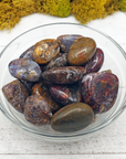 Pietersite Stone Natural Gemstone Semi-Tumbled Crystal - In Glass Bowl