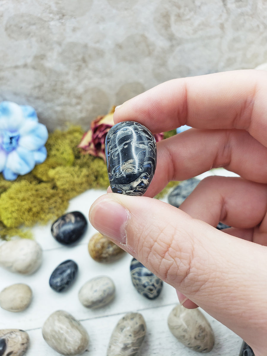 Palm Root Fossil stone between fingers