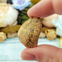 Picture Jasper Natural Tumbled Gemstone - Freeform One Stone