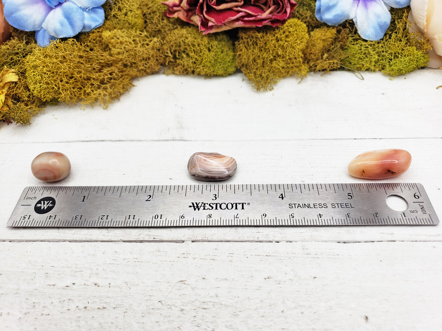 pink botswana agate stones by ruler