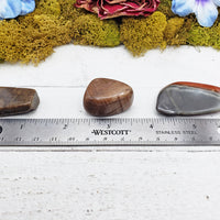 Polychrome Desert Jasper Tumbled Gemstone - Freeform Single Stone