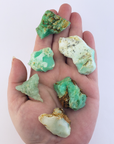 Chrysoprase Natural Raw Crystal Rough Gemstone - High Quality Small - In Hand