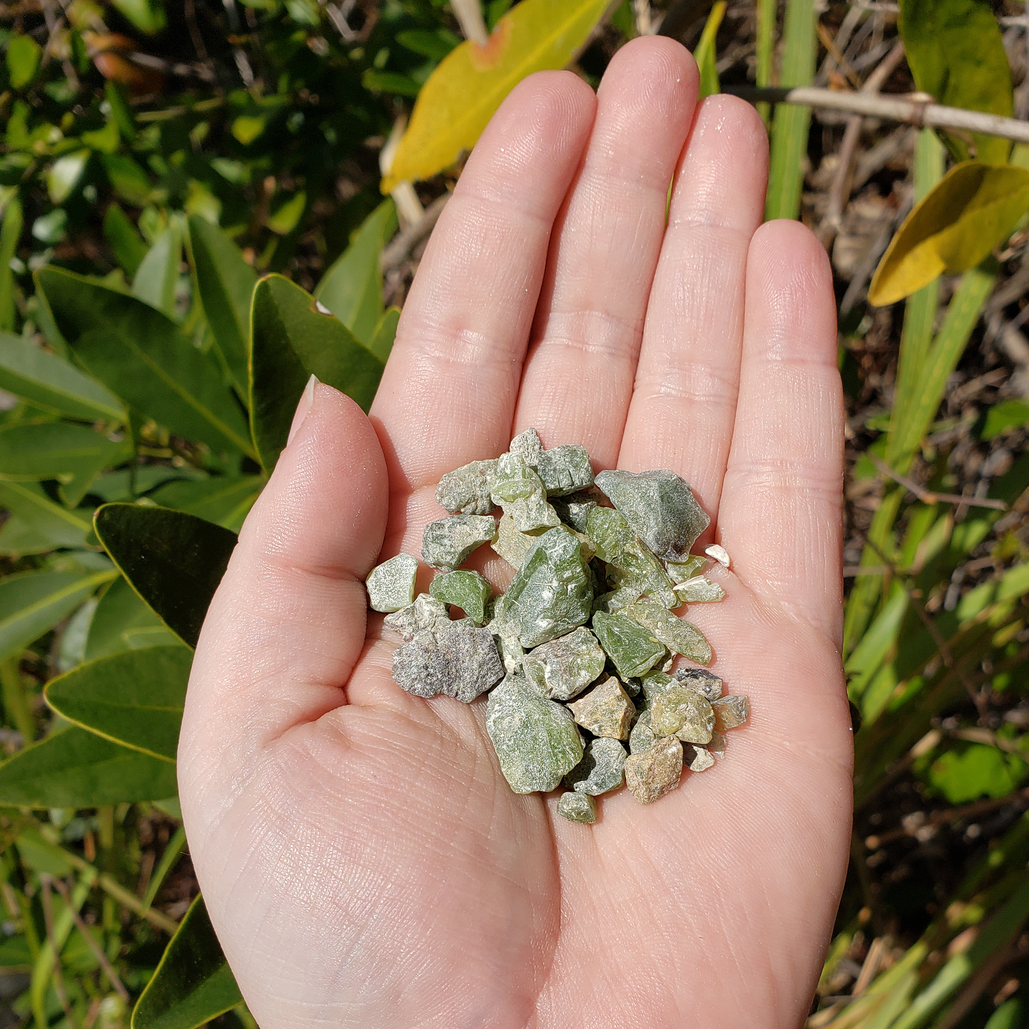 RAW Peridot Natural Rough Crystal Chips by the Ounce-7