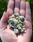 RAW Peridot Natural Rough Crystal Chips by the Ounce - 8